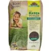 Neudorff Azet Rasendünger, Langzeitwirkung Bis 180 Tage, 20 Kg Für 400m² -Wohnmöbel Gemischtwaren Geschäft 023c34210c91dbfc37dc5f985932e17d4da7b527 duenger neudorff azet rasenduenger