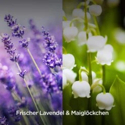 Airwick Raumduft Duftspray, 237 Ml, Geruchsneutralisierend, Lavendel & Maiglöckchen -Wohnmöbel Gemischtwaren Geschäft 0bcfc7788d6365d46cb9ed0ed7beddc3442c879e raumduft airwick duftspray 237 ml