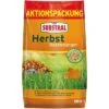 Substral Dünger Herbst Rasendünger, Langzeitwirkung Bis 90 Tage, 12,5 Kg Für 500m² -Wohnmöbel Gemischtwaren Geschäft 154bdda485f0cf9a771897df8d66fc7a97df7480 duenger substral herbst rasenduenger