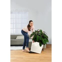 Lechuza Pflanzenroller 13503, Rund, Für CLASSICO 60, CUBE 50, Ø 36cm -Wohnmöbel Gemischtwaren Geschäft 1c603ad17b50d7ef433cd99e959ef10eeca89294 pflanzenroller lechuza 13503 rund