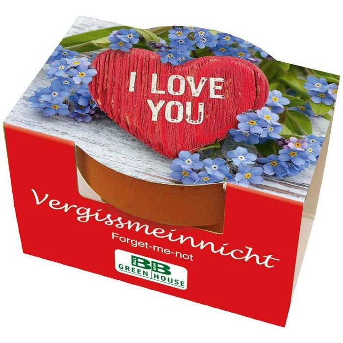 Geschenkset NiX-Geschenk I Love You, Sekt, Schokolade, Nudeln Und Pflanzset 5 Geschenkset NiX-Geschenk I Love You, Sekt, Schokolade, Nudeln Und Pflanzset – Bild 3