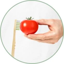 Dr.Best Zahnbürste Nature Bambus Interdent, Mittel -Wohnmöbel Gemischtwaren Geschäft 2772992cb03e23638c6f723552d91228c739f2e6 zahnbuerste dr.best nature bambus interdent