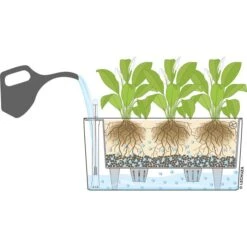 Lechuza Übertopf DELTA 20, Scarlet Rot Hochglanz, 40 X 15 X 18 Cm, Oval, Kunststoff 8 Lechuza Übertopf DELTA 20, Scarlet Rot Hochglanz, 40 X 15 X 18 Cm, Oval, Kunststoff -Wohnmöbel Gemischtwaren Geschäft 32f6e4e2838193c3b69b92ec4a73d99b7dbc831e uebertopf lechuza delta 20 scarlet rot hochglanz