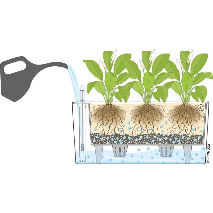 Lechuza Übertopf DELTA 20, Scarlet Rot Hochglanz, 40 X 15 X 18 Cm, Oval, Kunststoff 5 Lechuza Übertopf DELTA 20, Scarlet Rot Hochglanz, 40 X 15 X 18 Cm, Oval, Kunststoff – Bild 3