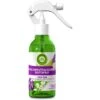 Airwick Raumduft Duftspray, 237 Ml, Geruchsneutralisierend, Lavendel & Maiglöckchen -Wohnmöbel Gemischtwaren Geschäft 4c9aeb3d8dd789d1f5fa2dc765dddcce308f233a raumduft airwick duftspray 237 ml