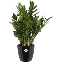 Elho Übertopf Brussels Diamond Rund, Schwarz, Ø 29 X H 27 Cm, Kunststoff -Wohnmöbel Gemischtwaren Geschäft 4d492bcebd90f44964212ab3b1f96858e01b8e37 uebertopf elho brussels diamond rund schwarz