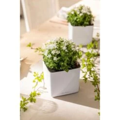 Lechuza Übertopf CUBE Glossy 14 Weiß, 14 X 14 X 14 Cm, Kunststoff, Erdbewässerungssystem -Wohnmöbel Gemischtwaren Geschäft 51792070416f9a037def1ca492fa9dd6a1ff1057 uebertopf lechuza cube glossy 14 weiss