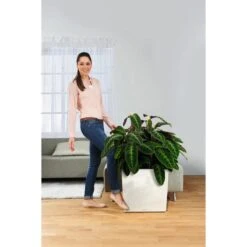 Lechuza Pflanzenroller 13503, Rund, Für CLASSICO 60, CUBE 50, Ø 36cm -Wohnmöbel Gemischtwaren Geschäft 9844eb1ec9eb1df0bef954c7e9b20407abfd3dd4 pflanzenroller lechuza 13503 rund