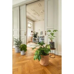 Lechuza Übertopf TRENDCOVER 32 Kork Light Natural, Ø 32 X H 33 Cm, Kork, Erdbewässerungssystem 9 Lechuza Übertopf TRENDCOVER 32 Kork Light Natural, Ø 32 X H 33 Cm, Kork, Erdbewässerungssystem -Wohnmöbel Gemischtwaren Geschäft a6141c0a441cbf603cfd4a879161fd1faa3ee5d6 uebertopf lechuza trendcover 32 kork light natural