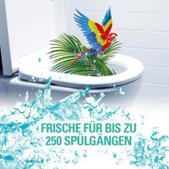 Cillit-Bang WC-Duftspüler 6 In 1 Türkisspüler, Tropical Lagune, Im Korb, 2 Stück -Wohnmöbel Gemischtwaren Geschäft b0a5cbbb0993890d9d35ff030fc56cf1e08cb619 wc duftspueler cillit bang 6 in 1 tuerkisspueler