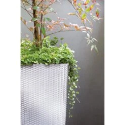 Prosperplast Übertopf Rato Square Weiß, 32,5 X 32,5 X 61 Cm, Quadratisch, Polyrattan -Wohnmöbel Gemischtwaren Geschäft bdc55b20b1be5bf4dd20299e81a29bc3aefe41d9 uebertopf prosperplast rato square weiss