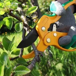 Grüntek Gartenschere UHU, Amboss, Schneidleistung Bis 20mm Ø, Mit Ratsche -Wohnmöbel Gemischtwaren Geschäft be4e0bba26389f0222e8a7725288f480bacddef5 gartenschere gruentek uhu amboss