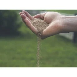 Substral Dünger Herbst Rasendünger, Langzeitwirkung Bis 90 Tage, 12,5 Kg Für 500m² 10 Substral Dünger Herbst Rasendünger, Langzeitwirkung Bis 90 Tage, 12,5 Kg Für 500m² -Wohnmöbel Gemischtwaren Geschäft c2eb945bcbeb0eac524d7c81ef29d2496b19293e duenger substral herbst rasenduenger