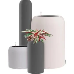 Lechuza Übertopf HAVALO 60, Seashell Nude, 60 X 60 X 85 Cm, Kunststoff, Erdbewässerungssystem -Wohnmöbel Gemischtwaren Geschäft c5749eb1b549dbb07fa3ff1d48a5583af72630bc uebertopf lechuza havalo 60 seashell nude