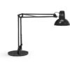 Maul Schreibtischlampe Maulstudy, Schwarz, Mit Standfuß -Wohnmöbel Gemischtwaren Geschäft eb6632af30e8ad58214018184aabb555a50be99d schreibtischlampe maul maulstudy